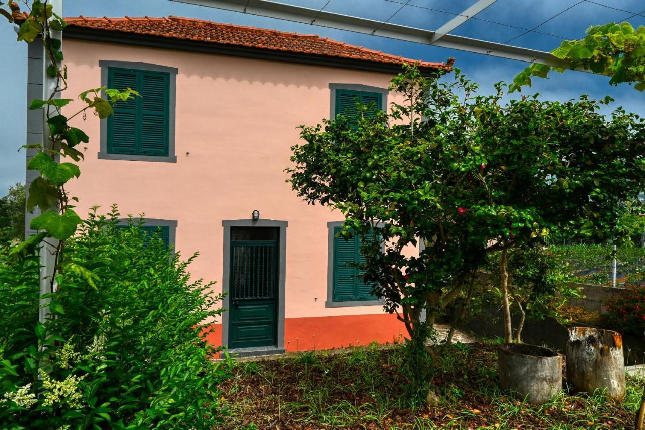 Os Ferreirinhos, A Home In Madeira 圣若热岛 外观 照片