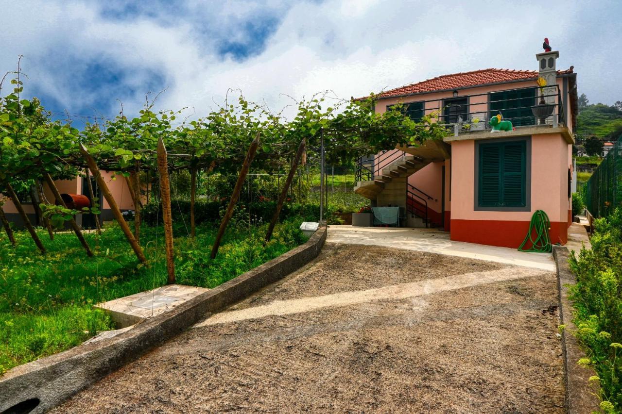 Os Ferreirinhos, A Home In Madeira 圣若热岛 外观 照片