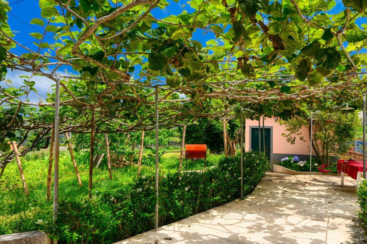 Os Ferreirinhos, A Home In Madeira 圣若热岛 外观 照片
